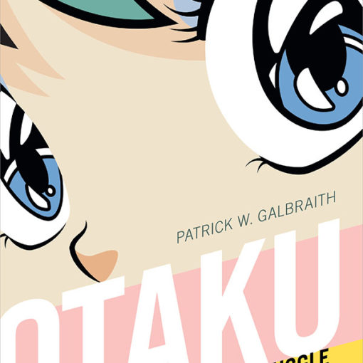 Cover of Otaku and the Struggle for Imagination